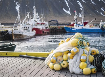 Announcement of Peer Reviewers for the Re-Assessment of the Icelandic Haddock & Saithe Commercial Fisheries